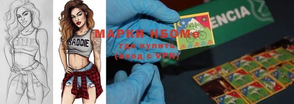 гашик Майский