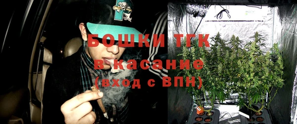 молекула духа Магадан