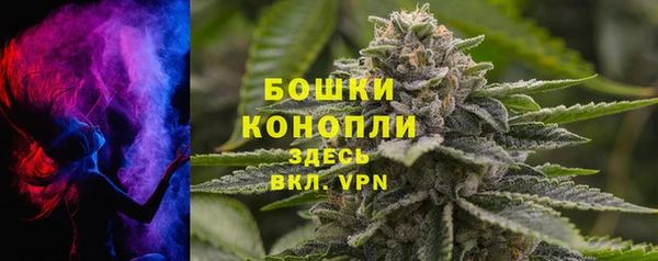 гашик Майский