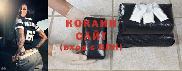 гашик Майский
