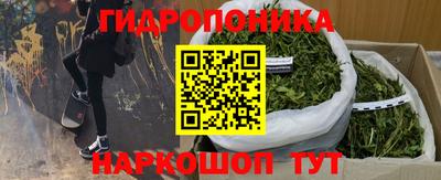 бошки Абакан