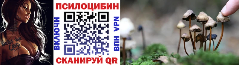 Галлюциногенные грибы Cubensis  мориарти формула  Абакан  где найти  