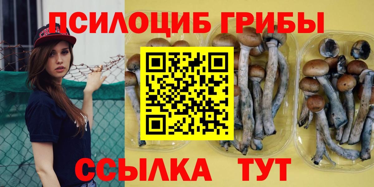 Галлюциногенные грибы GOLDEN TEACHER  Псилоцибиновые грибы Magic Shrooms  Вход с VPN  Абакан 
