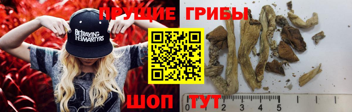 Галлюциногенные грибы мухоморы Абакан